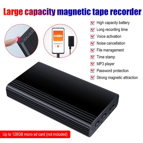 Registratore magnetico